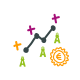 Compétence Faraglo en marketing - développement commercial